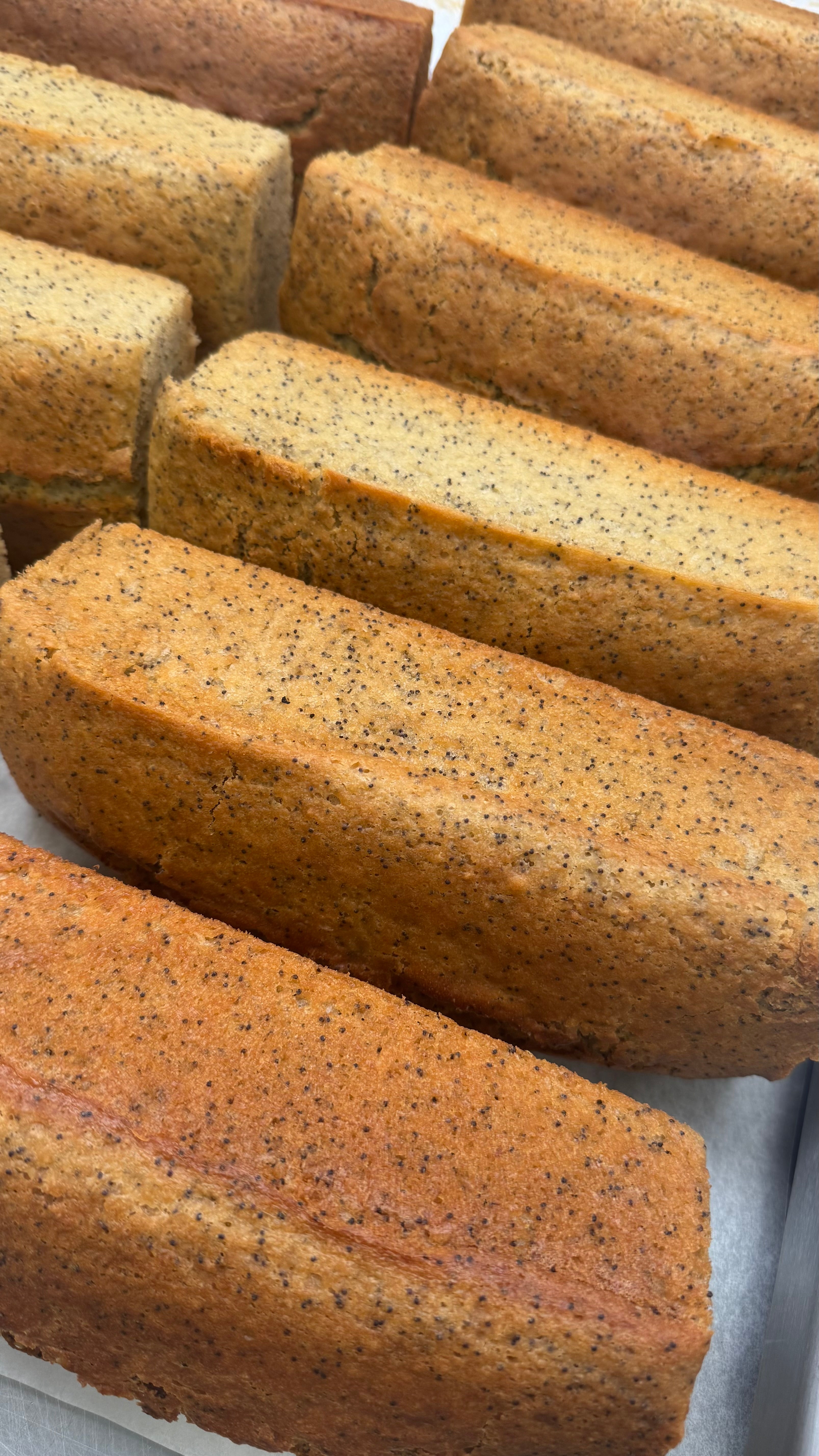 Lemon poppyseed cake V